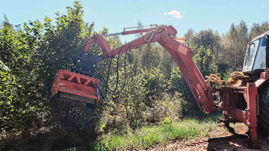 Мульчер Impulse F2: эффективная расчистка зарослей в Беларуси