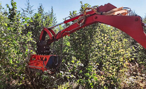 Impulse F2 800 Standard R