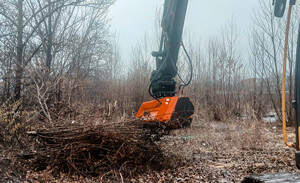 Impulse F4 1600 Standard F